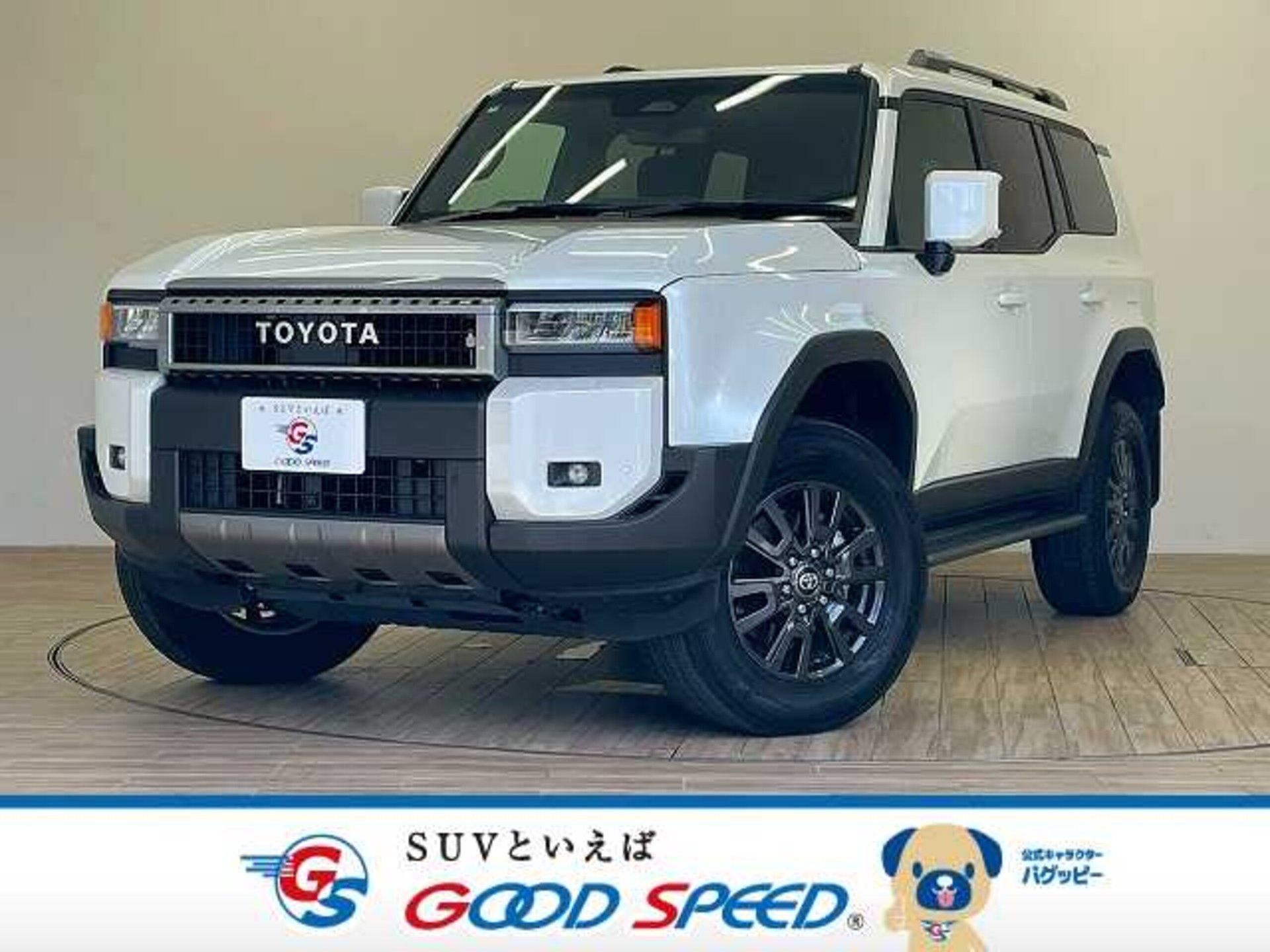 TOYOTA LAND CRUISER 250 - View 1