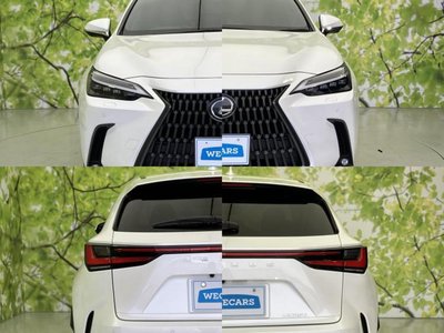صورة مصغرة 54 لـ 2023 Lexus NX
