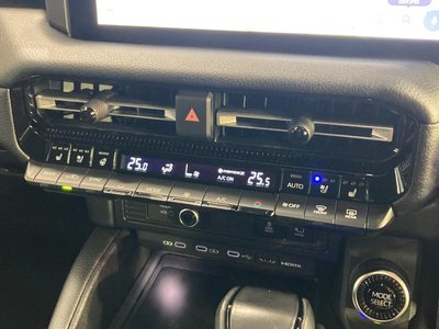 2024 Toyota LAND CRUISER 250 缩略图 46