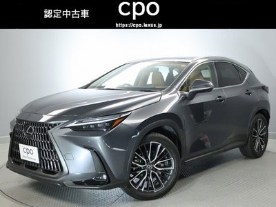 LEXUS NX - 1