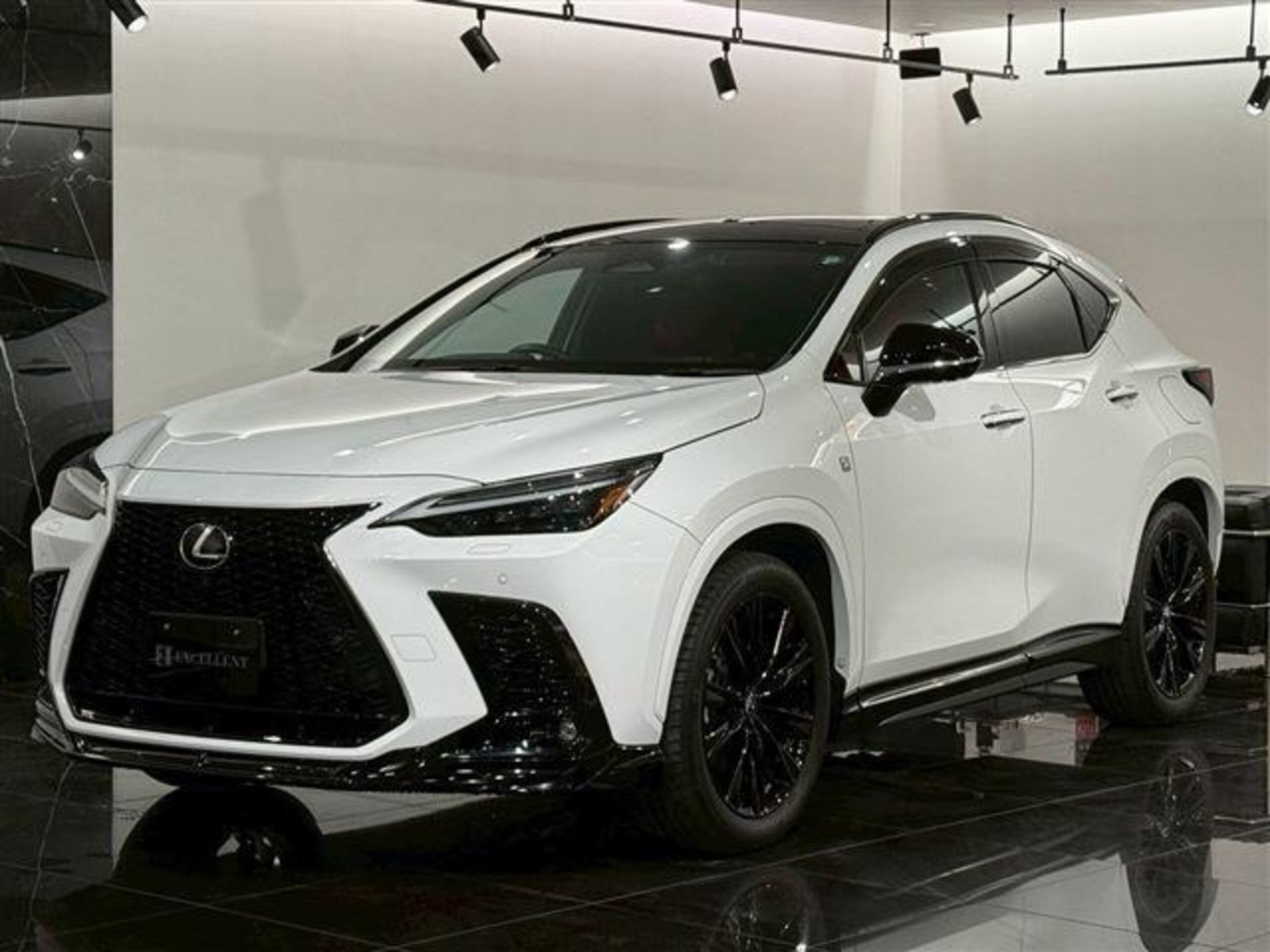 LEXUS NX - View 1