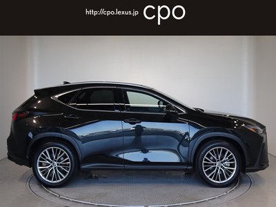 LEXUS NX - 6