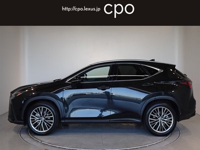 LEXUS NX - 7