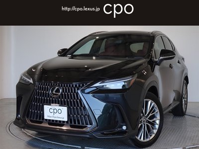 LEXUS NX - 1