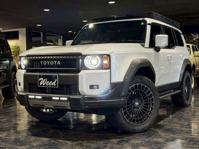 2024 Toyota LAND CRUISER 250 — миниатюра 11