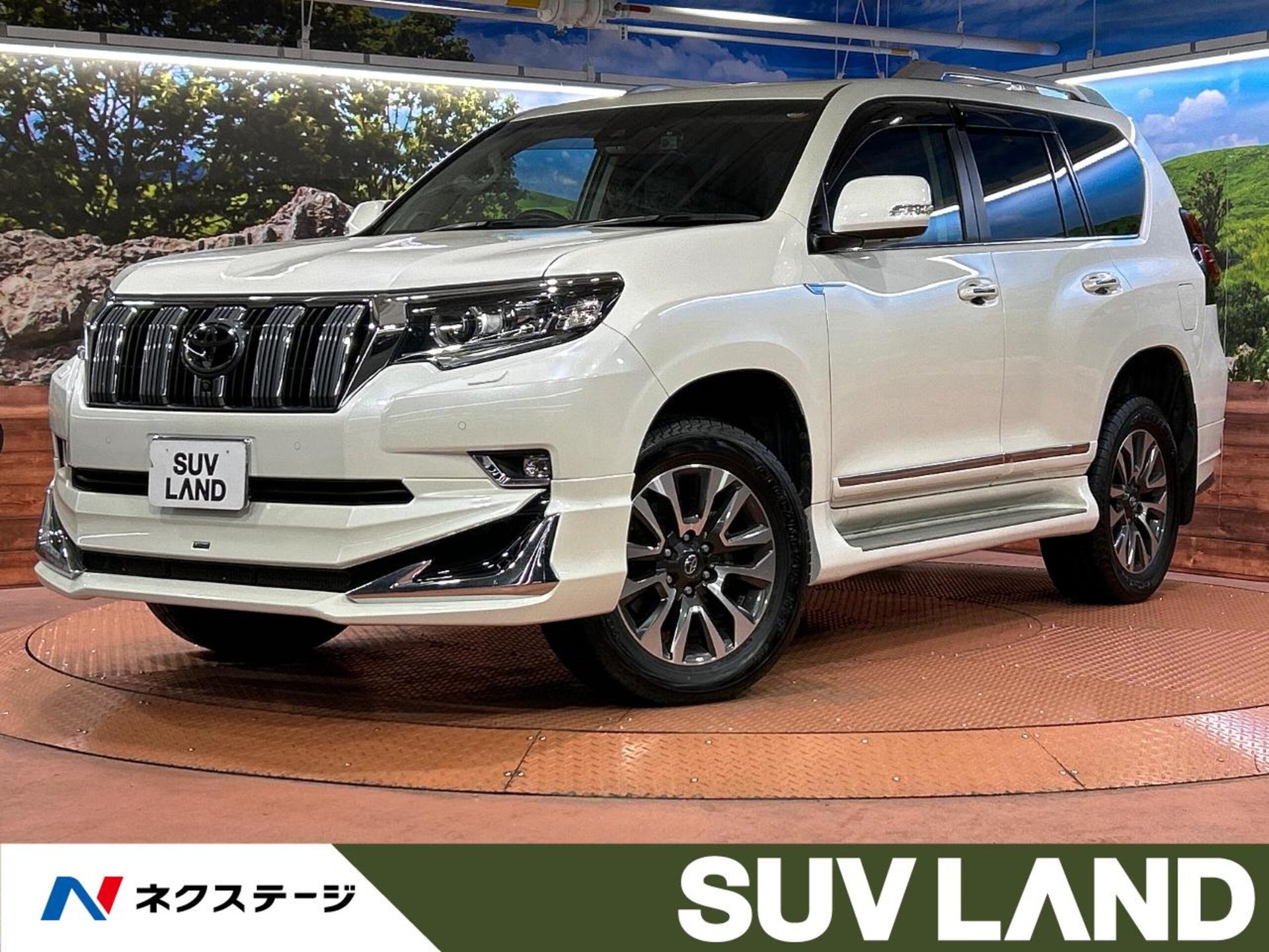 TOYOTA LAND CRUISER PRADO - View 1