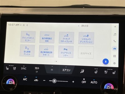 2024 Toyota ALPHARD thumbnail 18