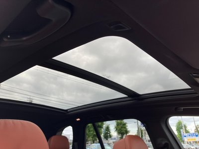 صورة مصغرة 31 لـ 2023 BMW X5