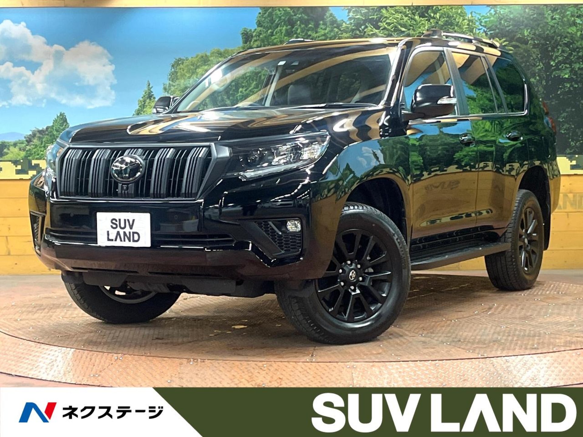 TOYOTA LAND CRUISER PRADO - View 1
