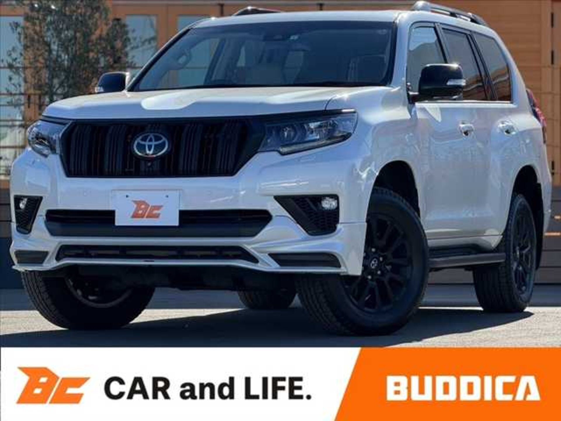 TOYOTA LAND CRUISER PRADO - View 1