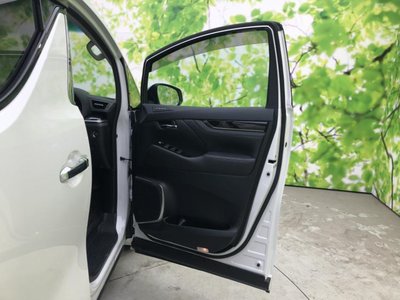 2023 Toyota ALPHARD — миниатюра 20