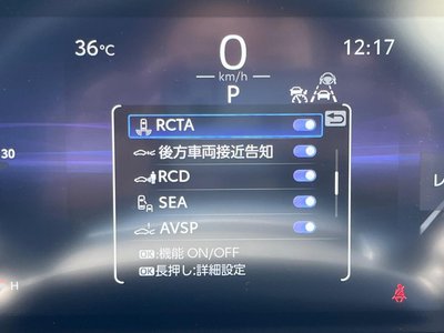2025 Toyota LAND CRUISER 250 thumbnail 49