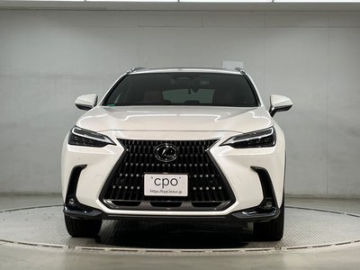 2023 Lexus NX photo 2