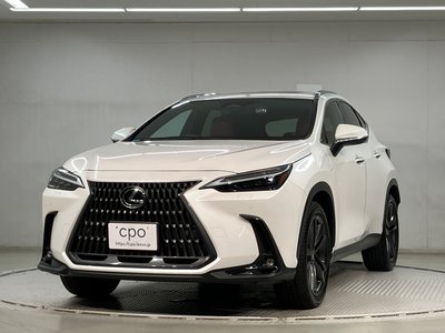 2023 Lexus NX photo 1