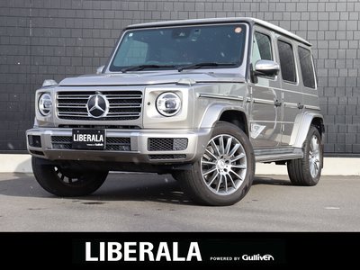 MERCEDES-BENZ G-CLASS - 2