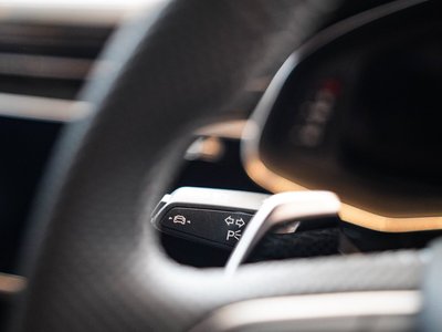 صورة مصغرة 48 لـ 2025 AUDI RS Q8