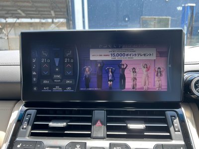 2023 Toyota LAND CRUISER 300 缩略图 23