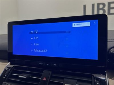 TOYOTA LAND CRUISER 300 - 4