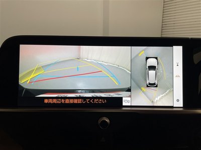 TOYOTA CROWN SPORT - 10