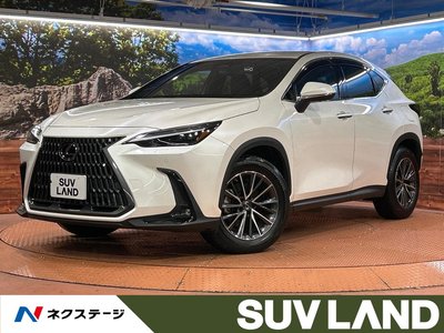 LEXUS NX - 1