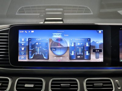 2024 Mercedes-BENZ GLS — миниатюра 33
