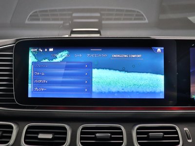 2024 Mercedes-BENZ GLS — миниатюра 32