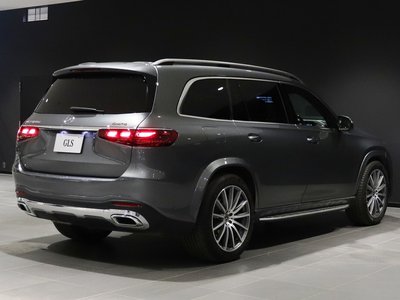 2024 Mercedes-BENZ GLS — миниатюра 17