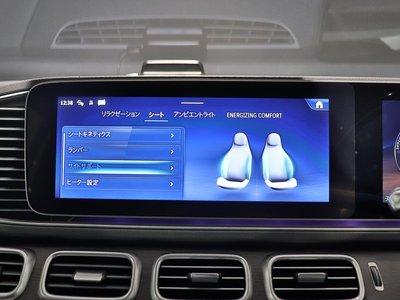 2024 Mercedes-BENZ GLS — миниатюра 30