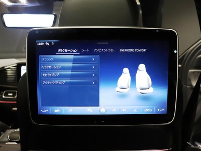 2024 Mercedes-BENZ GLS — миниатюра 49