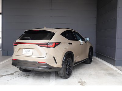 2025 Lexus NX — фото 2