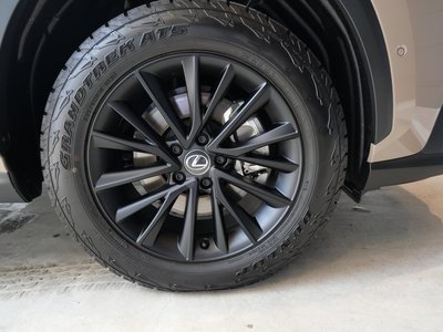 2025 Lexus NX 缩略图 18