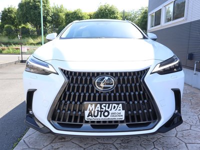 LEXUS NX - 2