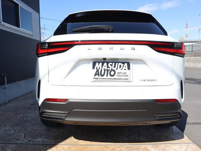LEXUS NX - 6