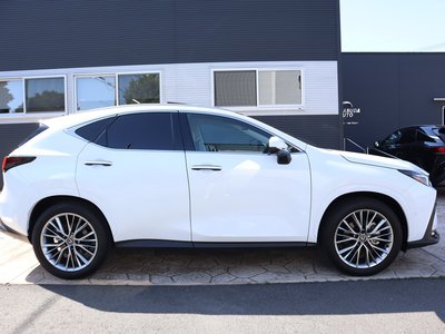 LEXUS NX - 4