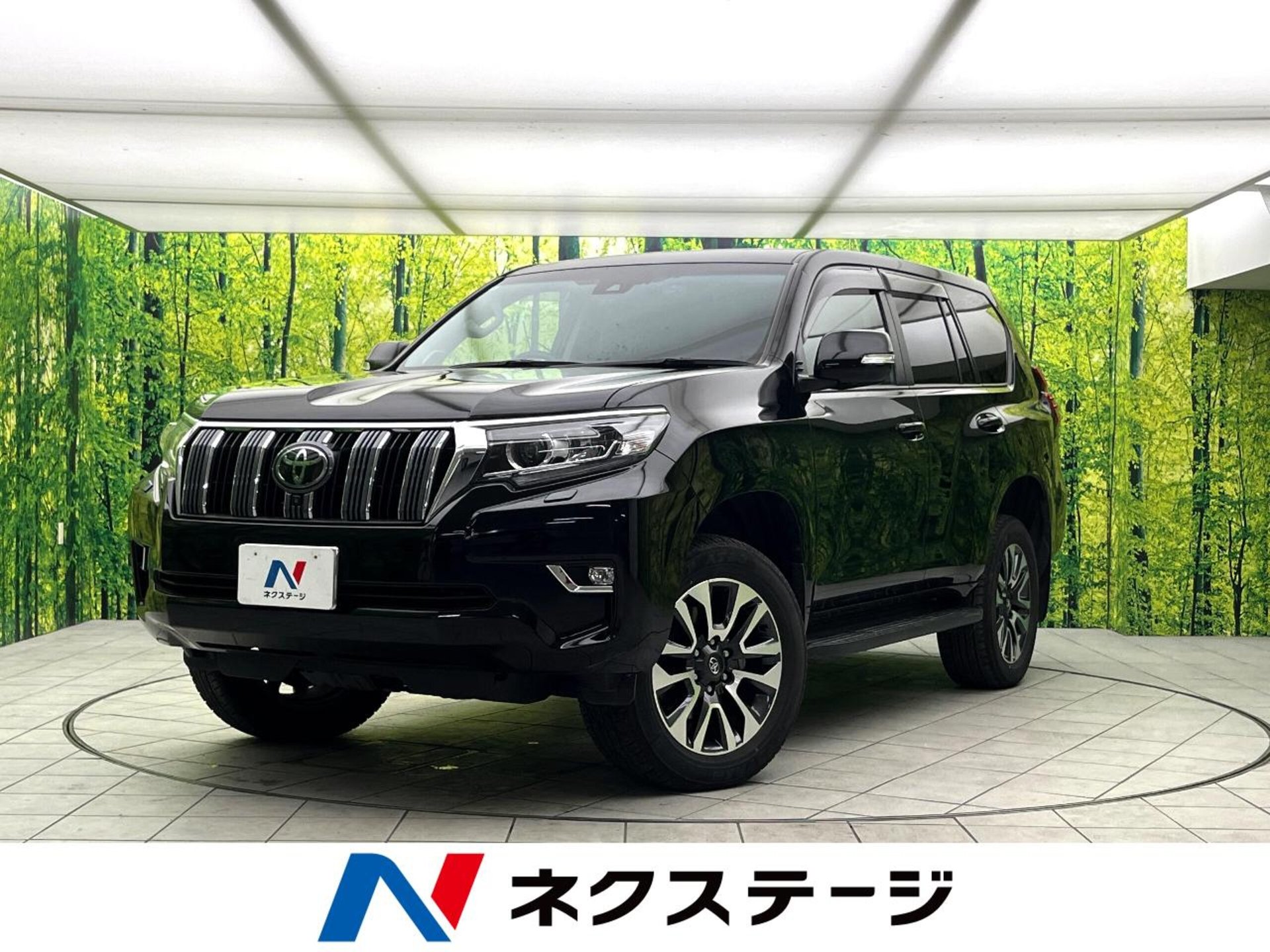 TOYOTA LAND CRUISER PRADO - View 1