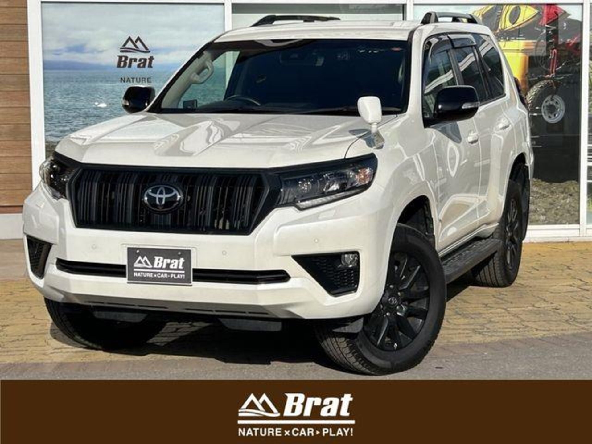 TOYOTA LAND CRUISER PRADO - View 1