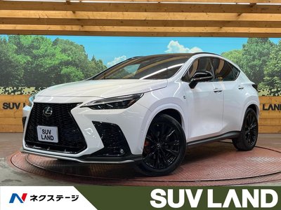 LEXUS NX - 1