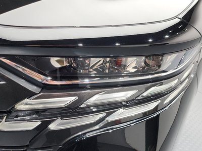 2025 TOYOTA ALPHARD 照片 9