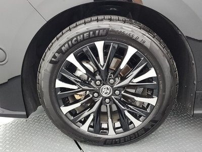 2025 TOYOTA ALPHARD 照片 6