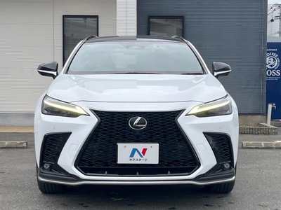 2023 Lexus NX 缩略图 15
