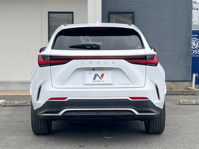 2023 Lexus NX 缩略图 16