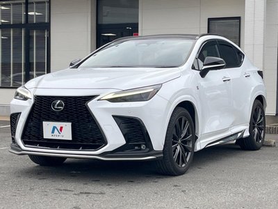 2023 Lexus NX 缩略图 24