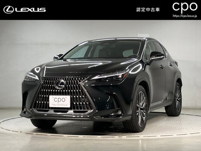 LEXUS NX - 1