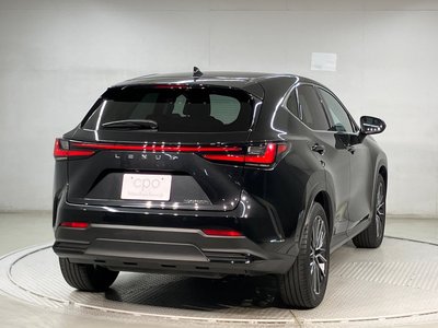 LEXUS NX - 4