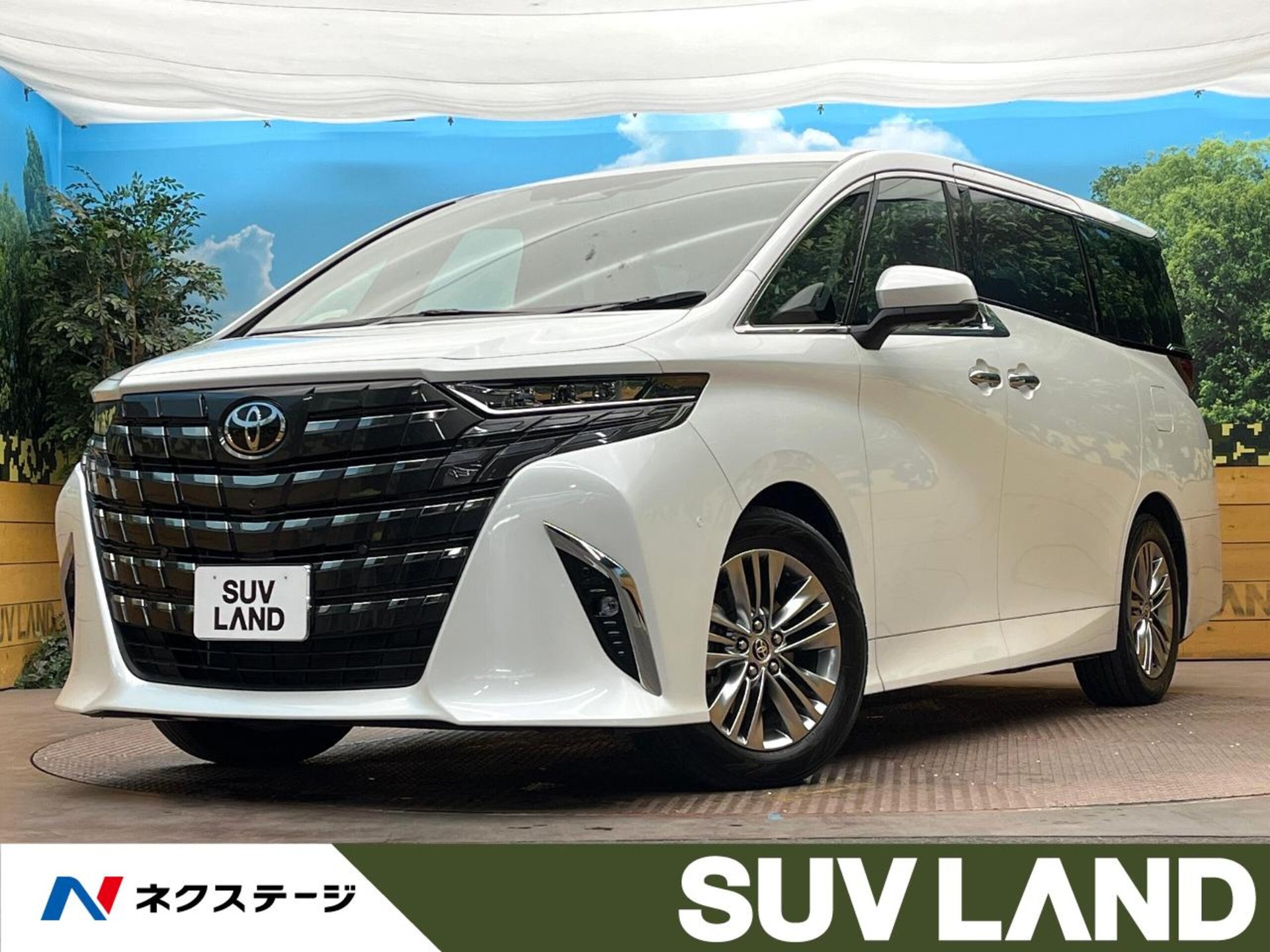 TOYOTA ALPHARD - View 1