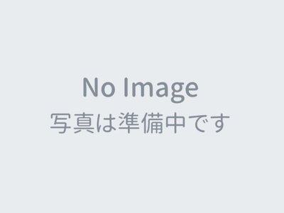 NISSAN FAIRLADY Z - 2