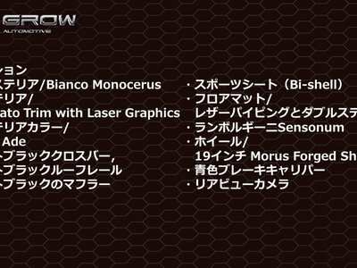 LAMBORGHINI HURACAN STERRATO - 2