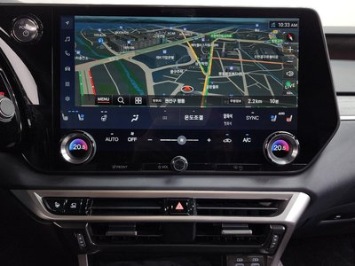 2024 Lexus RX thumbnail 19