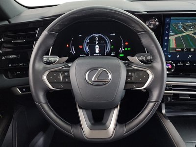 2024 Lexus RX thumbnail 18