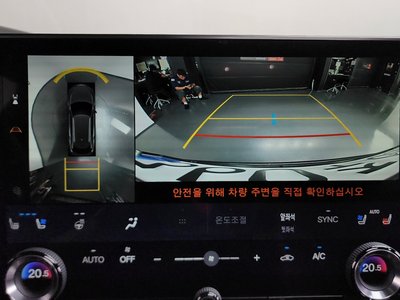2024 Lexus RX thumbnail 20
